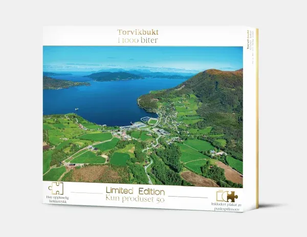 Torvikbukt